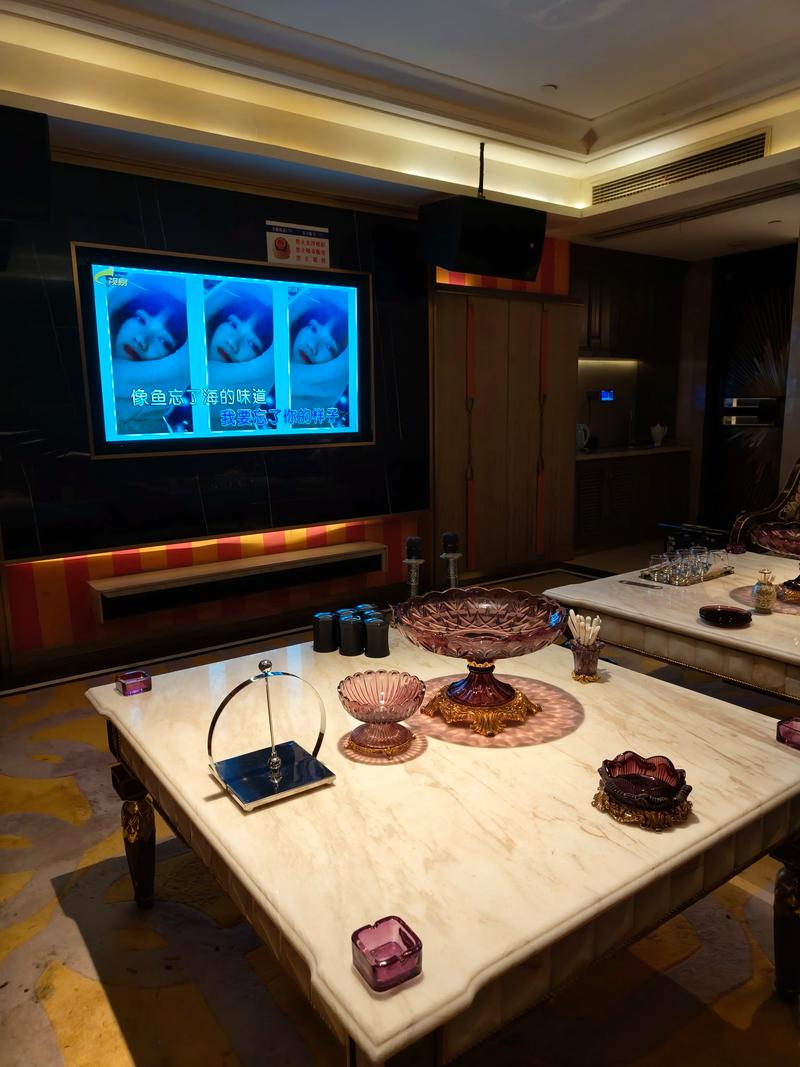 乐山商务ktv组局攀谈-沙湾区ktv预定